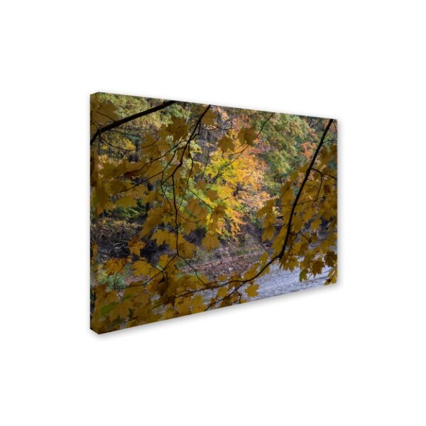 Kurt Shaffer 'Brilliant Ohio Autumn' Canvas Art,18x24